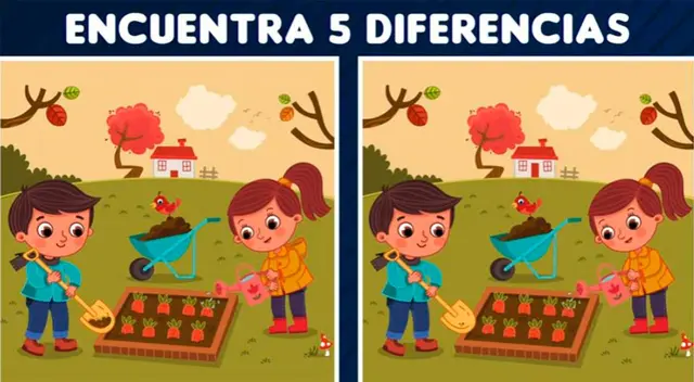 Pon a prueba tu agilidad visual y mental con este reto nivel EXTREMO. Pon a prueba tu agilidad visual y mental con este reto nivel EXTREMO.