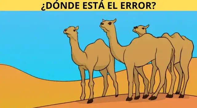 Intenta hallar el único error en este nuevo reto visual.