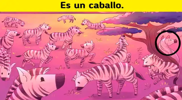 acertijo visual solución retos visuales acertijo visual solución retos visuales