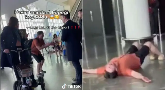 Hombre es viral luego de entrar en pánico por no saber el paradero de sus perros. Hombre es viral luego de entrar en pánico por no saber el paradero de sus perros.