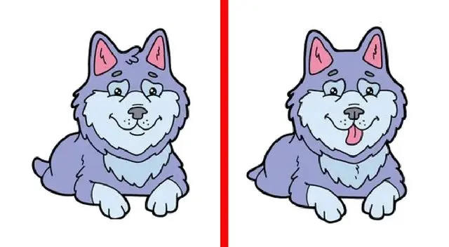 Solo cuentas con una oportunidad para desarrollar este nuevo reto visual. Solo cuentas con una oportunidad para desarrollar este nuevo reto visual.