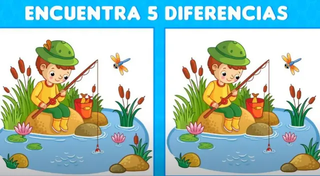 Pon a prueba tu agilidad visual con este nuevo reto EXTREMO.