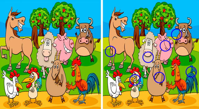 reto visual reto visual