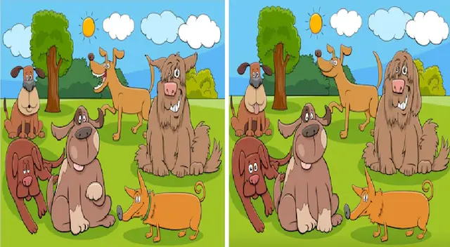 Tienes solo una oportunidad para desarrollar este nuevo reto visual. Tienes solo una oportunidad para desarrollar este nuevo reto visual.