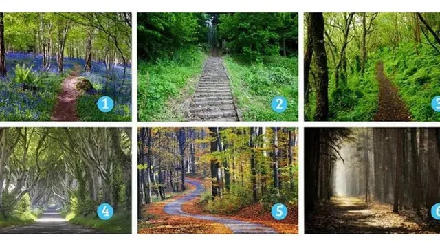 Descubre más detalles de tu personalidad gracias a este asombroso test visual que te dejará realmente sorprendido.