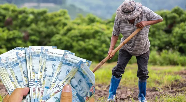 Más de 78 millones de soles se han destinado para hacer efectivo el pago este incentivo, el cual estará disponible hasta el 31 de agosto del presente año 2023.