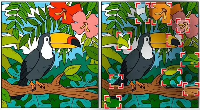 solución reto viral reto visual  solución reto viral reto visual