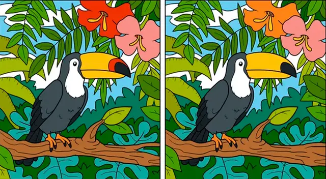 Mira con atención a los detalles de este desafío viral para encontrar la respuesta. Mira con atención a los detalles de este desafío viral para encontrar la respuesta.