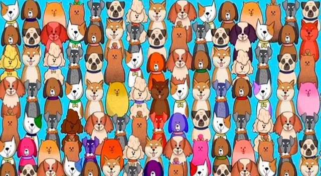 Mira con atención y descubre la ubicación del travieso gato en este desafío viral. Mira con atención y descubre la ubicación del travieso gato en este desafío viral.