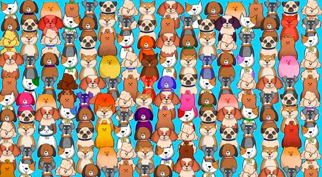 reto visual reto visual