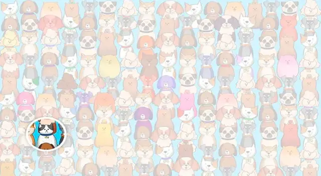 solución reto visual solución reto visual