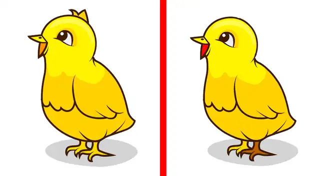 Demuestra que eres un verdadero genio y supera este reto visual en solo 6 segundos.