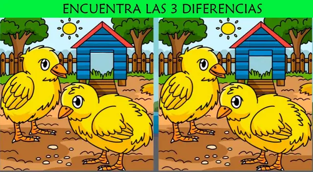 Pon a prueba tu agilidad visual resolviendo este nuevo desafío en tiempo récord.