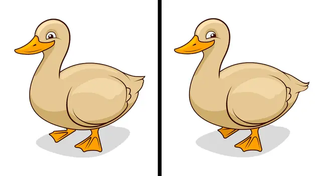 Observa con mucha atención la imagen y encuentra las 3 diferencias del reto visual.