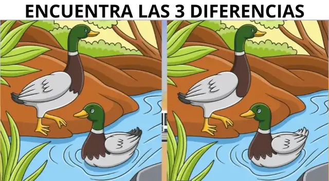 Pon a prueba tu agilidad visual con este complicado reto.