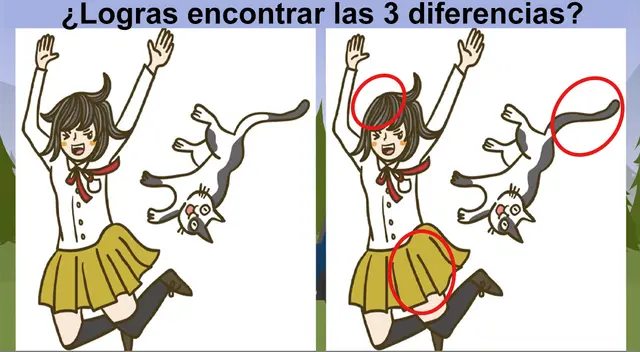 Respuesta del reto viral