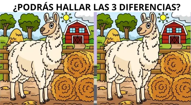 Resuelve este nuevo reto visual nivel EXTREMO en 10 segundos.