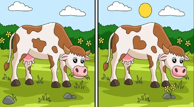 Si tienes una buena visión podrás desarrollar este nuevo reto visual.