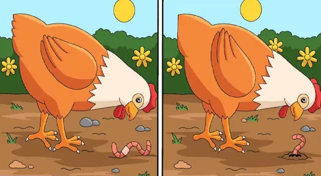 Activa todos tus sentidos y desarrolla en poco tiempo este nuevo reto visual. Activa todos tus sentidos y desarrolla en poco tiempo este nuevo reto visual.