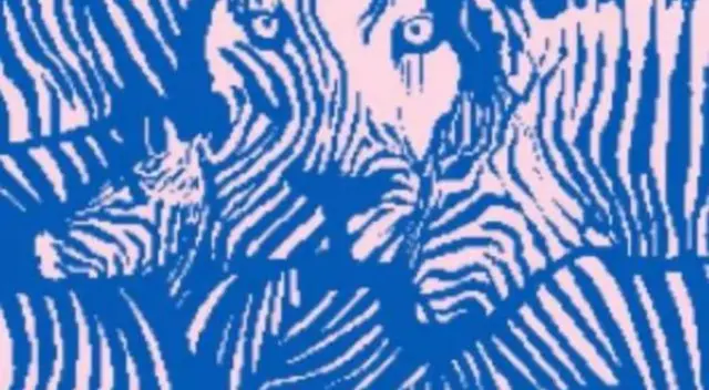 Lo primero que tu vista logre captar en este test te ayudará a conocer más sobre ti.