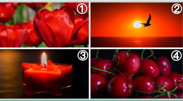 ¿Eres alguien apasionado? Descubre más sobre ti con este test viral de personalidad ¿Eres alguien apasionado? Descubre más sobre ti con este test viral de personalidad