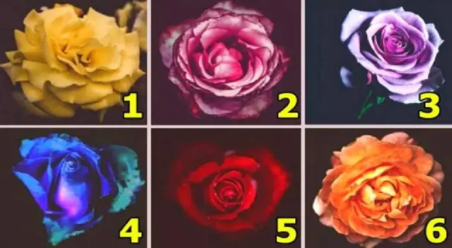 Selecciona la rosa de tu preferencia y descubre cuál es tu mayor temor al enamorarte Selecciona la rosa de tu preferencia y descubre cuál es tu mayor temor al enamorarte