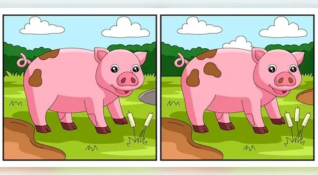 Ubicarás todas las diferencias del reto en menos de 5 segundos.
