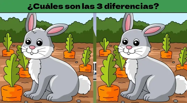 Solo si eres un genio, podrás resolver en tiempo récord esta confusa prueba Solo si eres un genio, podrás resolver en tiempo récord esta confusa prueba