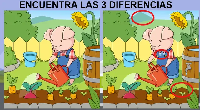 retos visuales 