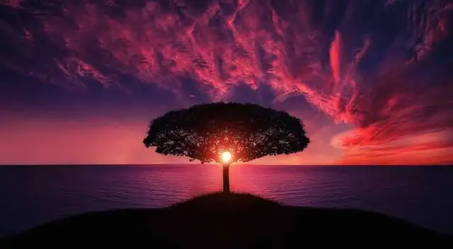 Lo primero que logres ver revelará detalles sobre tu personalidad.