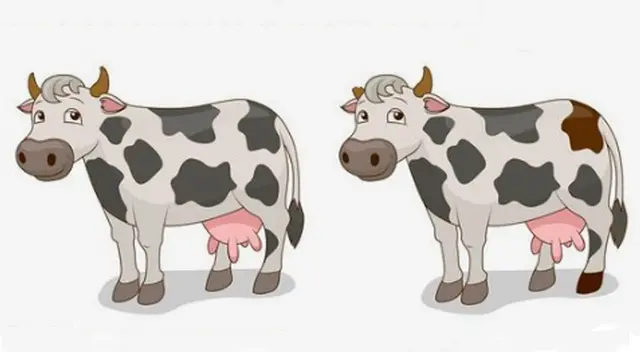 ¿Podrás ubicar todas las diferencias en tiempo récord? Veamos si lo logras.