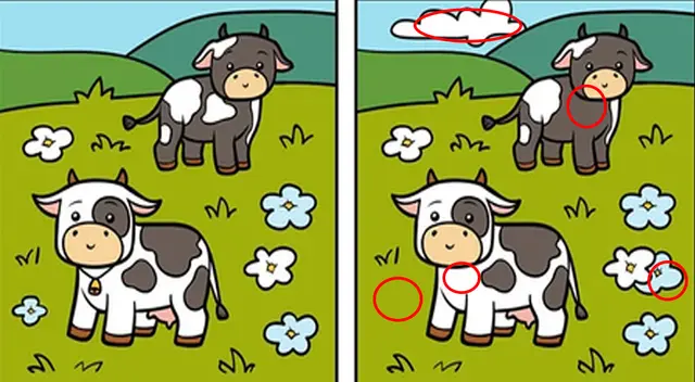 reto visual reto visual