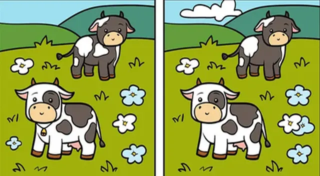 Tienes solo una oportunidad para desarrollar el reto visual de la semana. Tienes solo una oportunidad para desarrollar el reto visual de la semana.