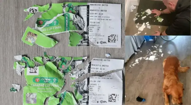 Perro destruye las entradas de su dueño. Perro destruye las entradas de su dueño.