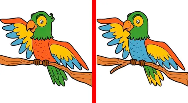 Encuentra las diferencias del reto y demuestra que eres el mejor.