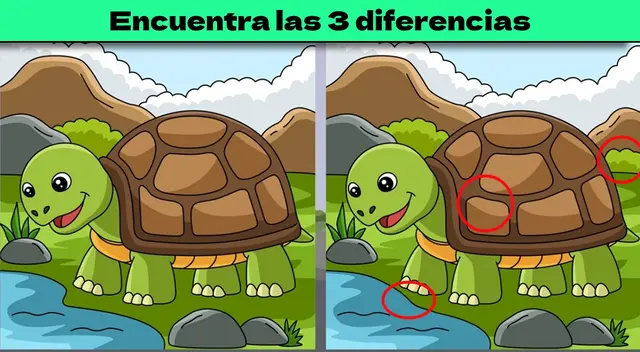 Reto visual