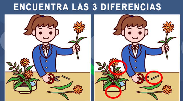 Reto visual