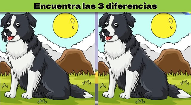 Reto visual