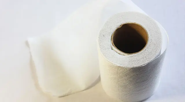 Rollo de papel higiénico en una plataforma de color blanco.