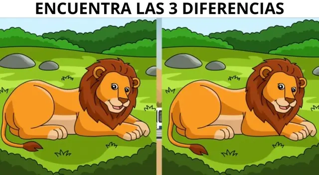 Solo las personas con una vista privilegiada superaron este nuevo reto visual. Solo las personas con una vista privilegiada superaron este nuevo reto visual.