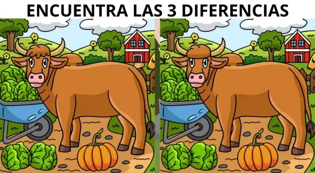 Solo las personas con una vista privilegiada superaron este reto.