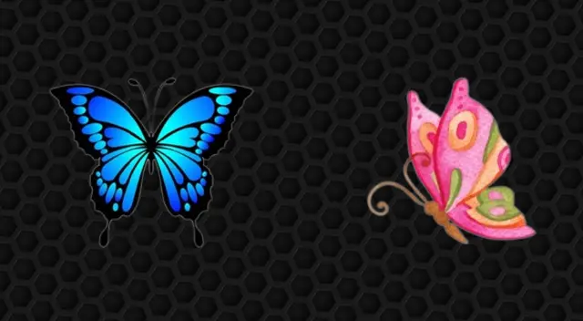 Elige una hermosa mariposa y descubre detalles de tu forma de ser Elige una hermosa mariposa y descubre detalles de tu forma de ser