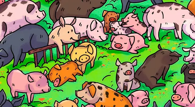 Reto visual: ¿Puedes encontrar al animal que NO es un cerdo? Reto visual: ¿Puedes encontrar al animal que NO es un cerdo?
