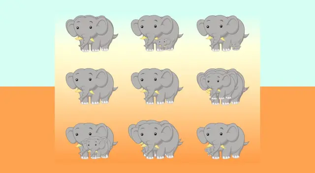 Este reto pondrá a prueba tus habilidades visuales y de memoria. ¿Podrás identificar la cantidad exacta? Este reto pondrá a prueba tus habilidades visuales y de memoria. ¿Podrás identificar la cantidad exacta?