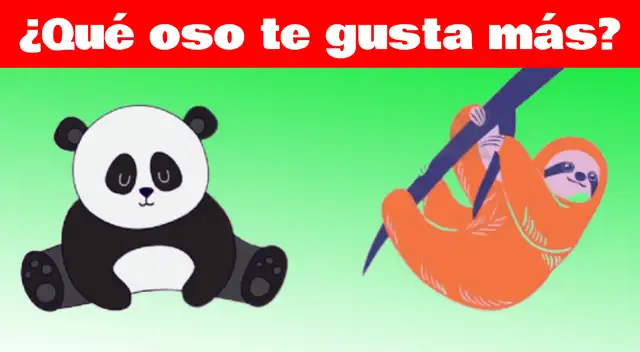 Dinos qué oso es tu favorito y descubre qué tan inmaduro eres Dinos qué oso es tu favorito y descubre qué tan inmaduro eres