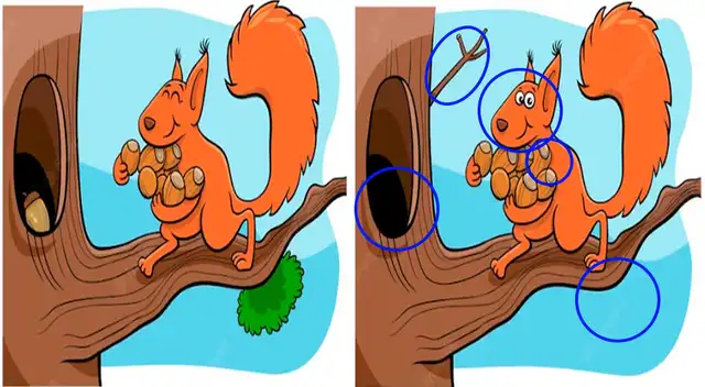 retos visuales