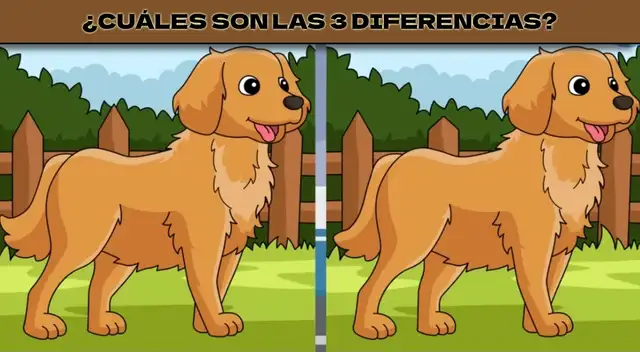 El reto visual para mentes supremas: tienes pocos segundos