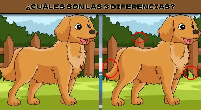 reto visual