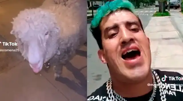 Makanaky es inspiración de personas y hasta de ¿animales? Mira el curioso video de TikTok.