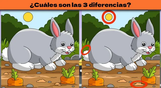 Reto visual
